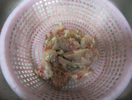 兔子吃蒲瓜吗,探究兔子是否食用蒲瓜的奥秘