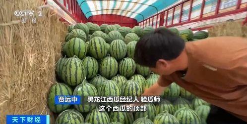 吃瓜姑嫂,揭秘娱乐圈背后的亲情纠葛