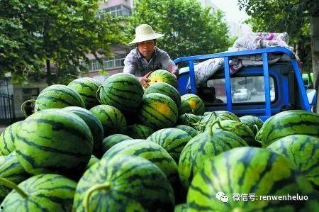 吃卖瓜