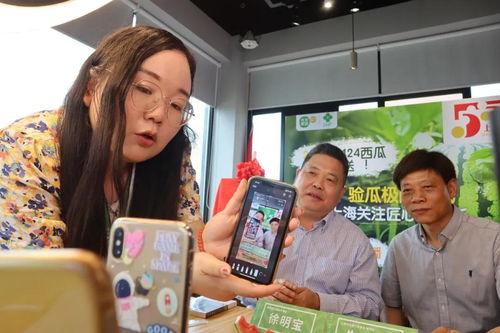 卖衣服吃瓜直播