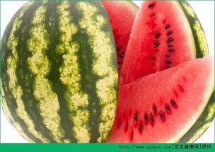 每天都吃瓜好吗,揭秘娱乐圈的瓜田秘事