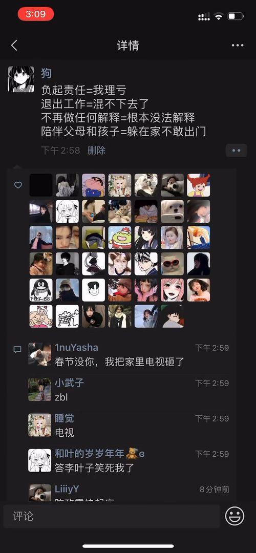 小狗吃瓜文案图片,小狗欢乐吃瓜瞬间