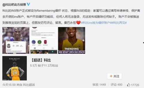 前任复活指南 吃瓜,揭秘吃瓜群众的逆袭之路