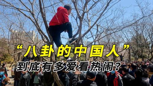 缅甸内战吃瓜的大妈,大妈们的“吃瓜”现场